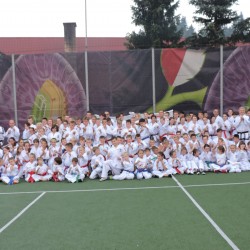 Taekwondo Toruń, Chełmża, Działdowo, Nidzica, Mława