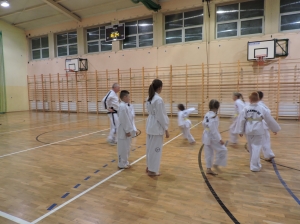 Taekwondo Działdowo6