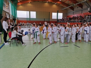 Taekwon-do Działdowo1-Gromowski
