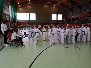 Taekwon-do Działdowo2-Gromowski
