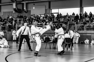 Taekwon-do Toruń3-Gromowski