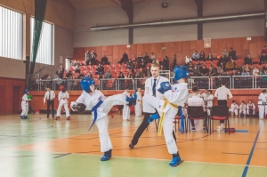 Taekwon-do Toruń4-Gromowski