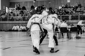 Taekwon-do Toruń6-Gromowski