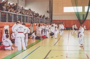Taekwon-do Toruń9-Gromowski