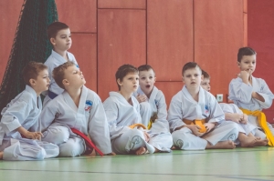 Taekwondo Chełmża3-Gromowski