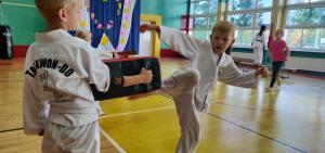 Taekwondo łysomice